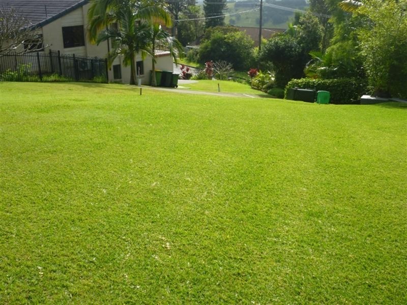 Lismore Heights NSW 2480