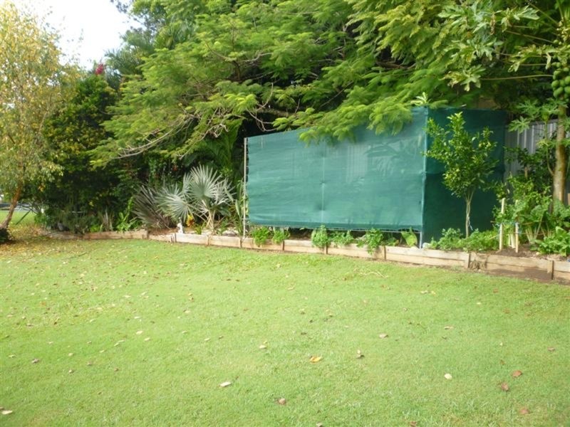 Lismore Heights NSW 2480