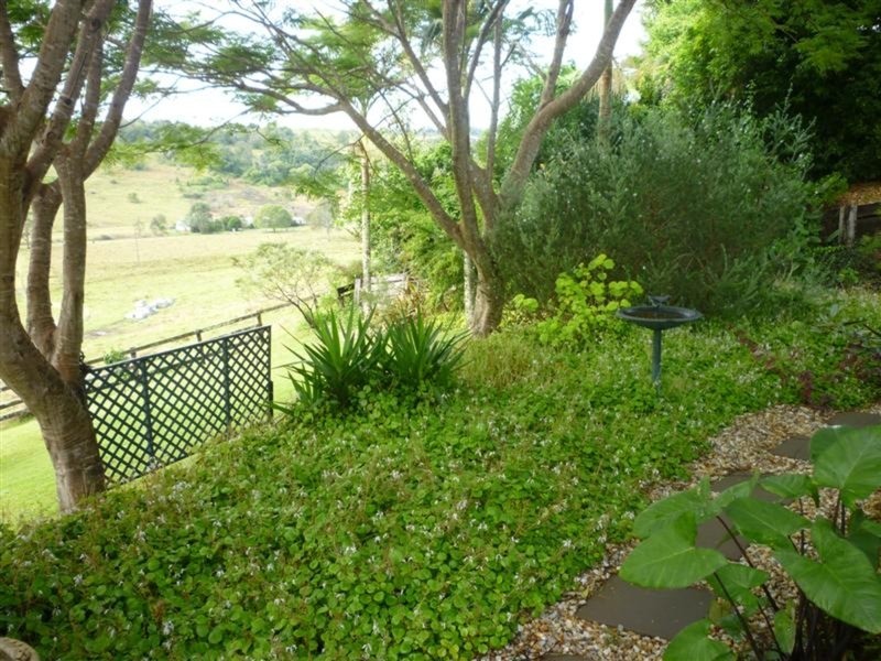 Lismore Heights NSW 2480