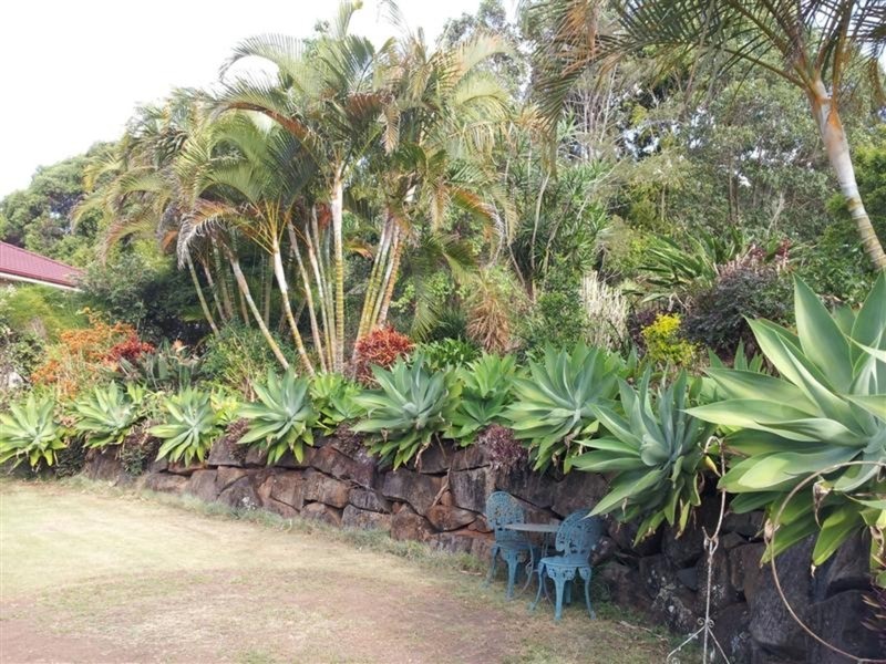 15 Wanda Drive, East Lismore NSW 2480