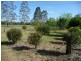 2400 Bentley Road, Bentley NSW 2480