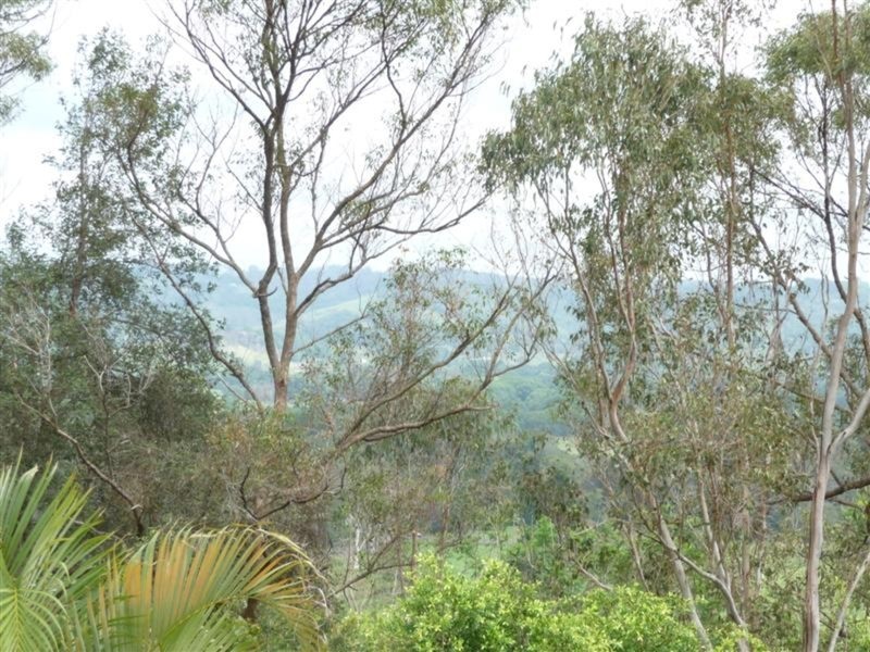 9 Chisholm Road, Richmond Hill NSW 2480