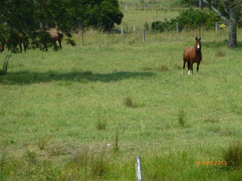 98 Cross Road, Numulgi NSW 2480