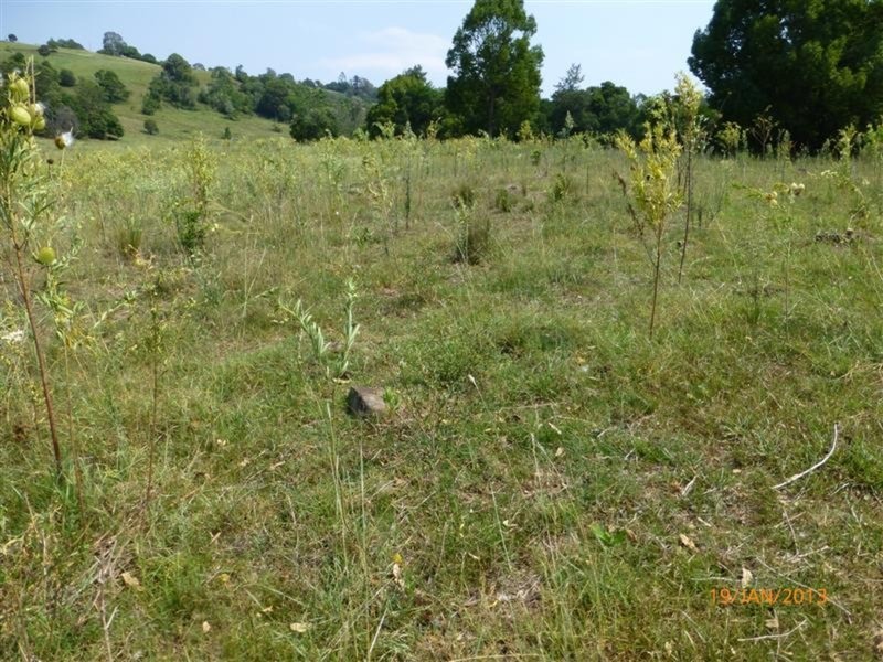 98 Cross Road, Numulgi NSW 2480