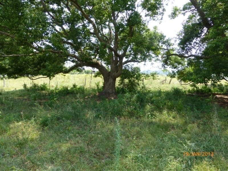 98 Cross Road, Numulgi NSW 2480