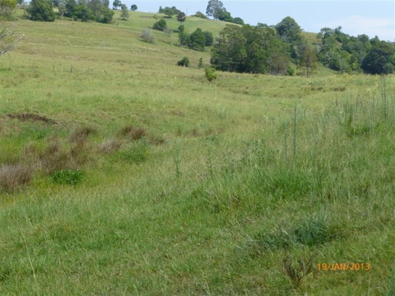 98 Cross Road, Numulgi NSW 2480