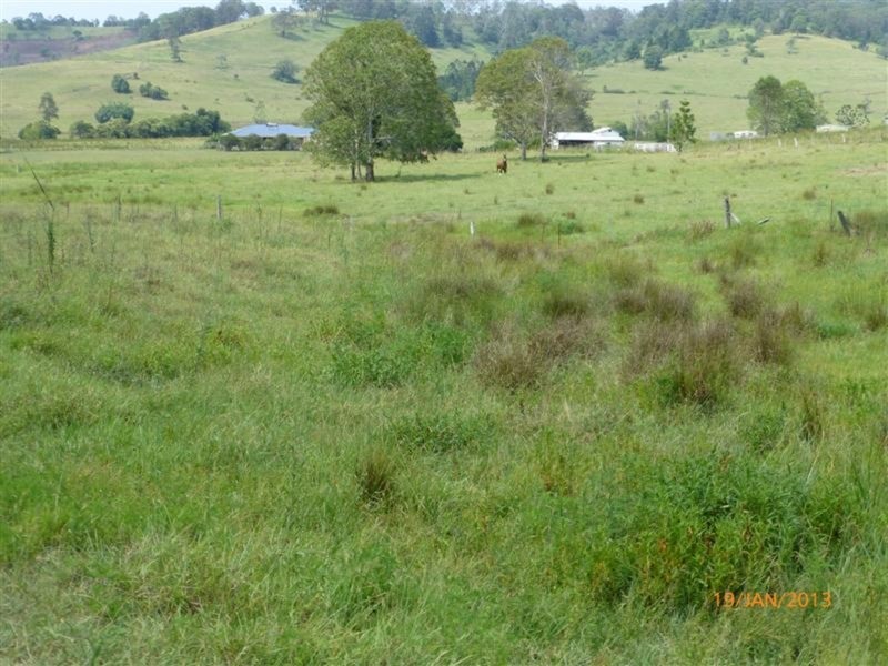 98 Cross Road, Numulgi NSW 2480