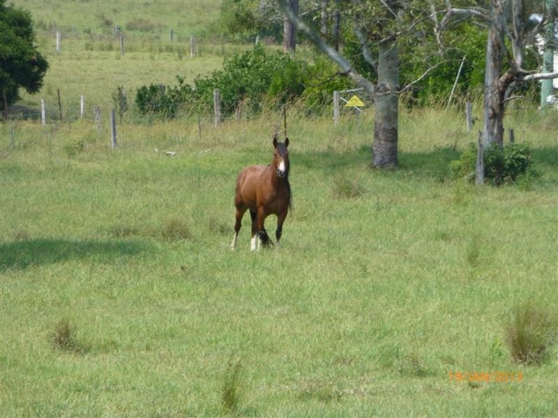 98 Cross Road, Numulgi NSW 2480