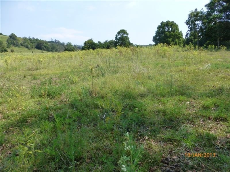 98 Cross Road, Numulgi NSW 2480