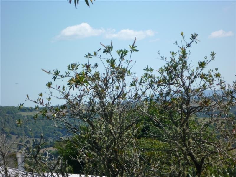 84 High Street, Lismore Heights NSW 2480