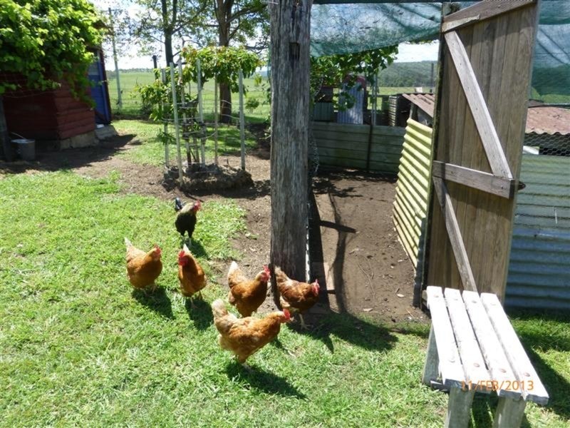 83 Trentys Lane, Doubtful Creek NSW 2470