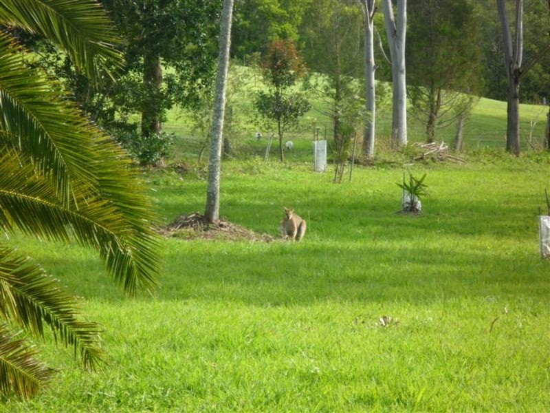 10 Belleridge Road, Nimbin NSW 2480