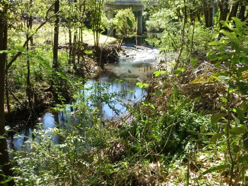 110 Cullen Street, Nimbin NSW 2480