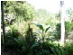 121 Gungas Road, Nimbin NSW 2480