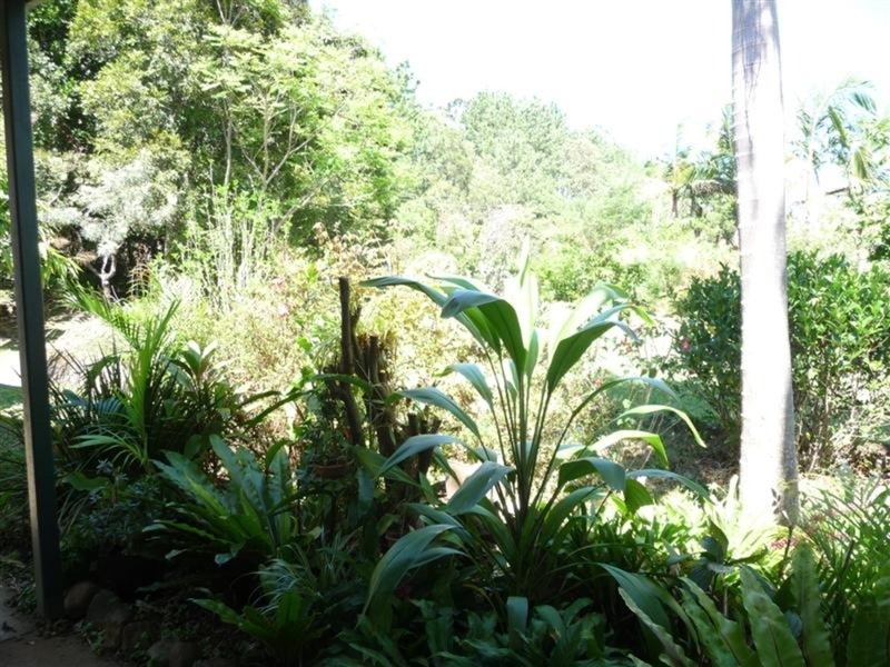 121 Gungas Road, Nimbin NSW 2480