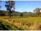 9 Bertoli Road, Jiggi NSW 2480