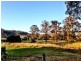 9 Bertoli Road, Jiggi NSW 2480