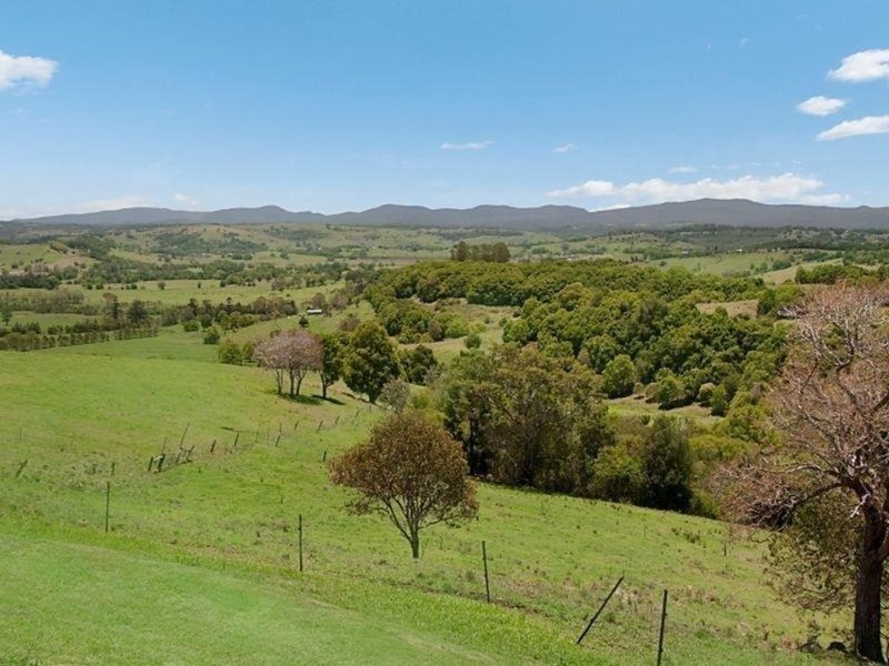 54 Palmers Road, Mcleans Ridges NSW 2480