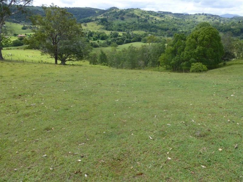 1241 Keerrong Road, Keerrong NSW 2480