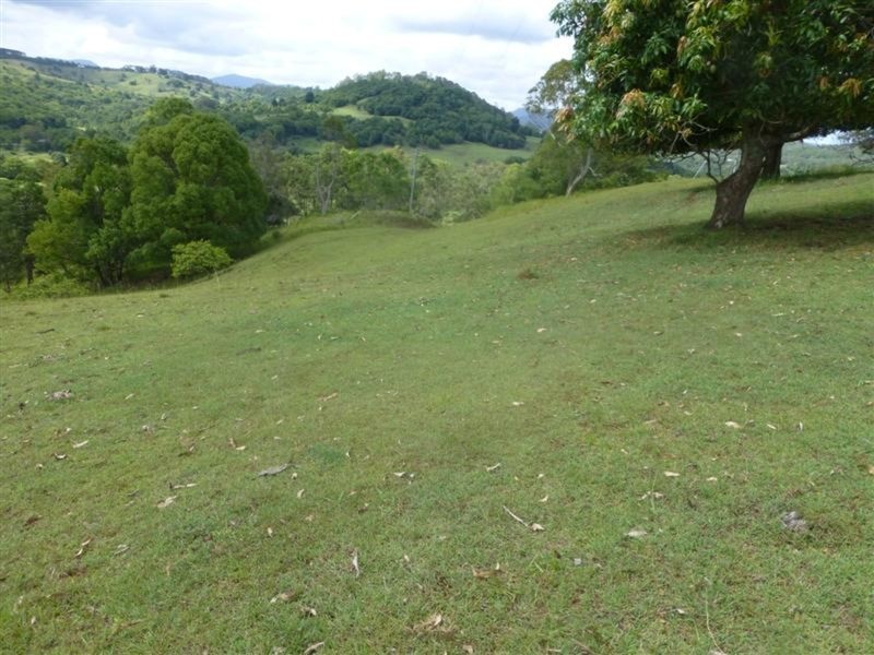 1241 Keerrong Road, Keerrong NSW 2480