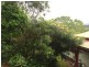 186 Gungas Road, Nimbin NSW 2480