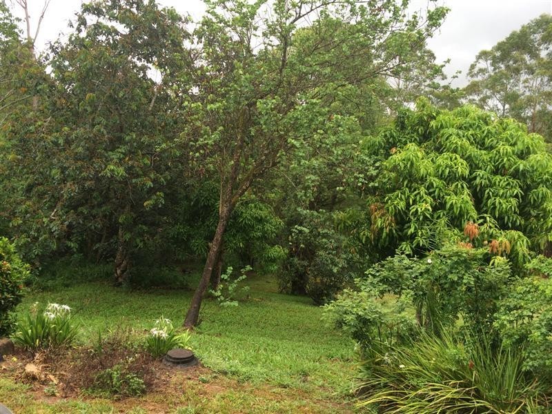 186 Gungas Road, Nimbin NSW 2480