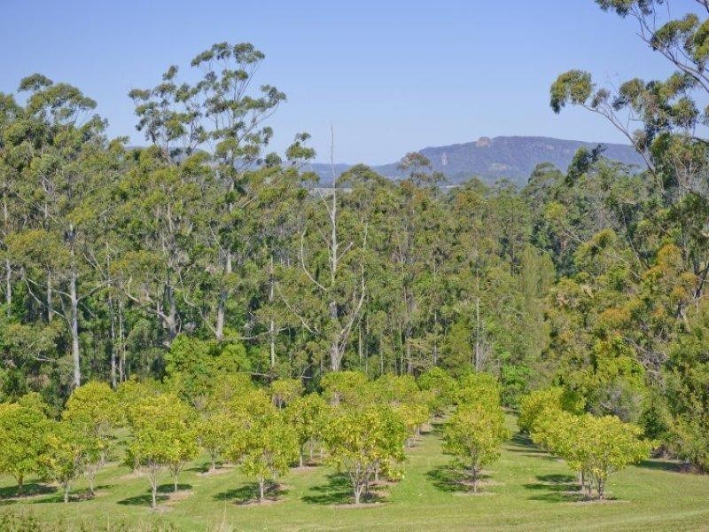 9B Noble Road, Blue Knob NSW 2480