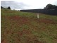 43 Just Street, Goonellabah NSW 2480