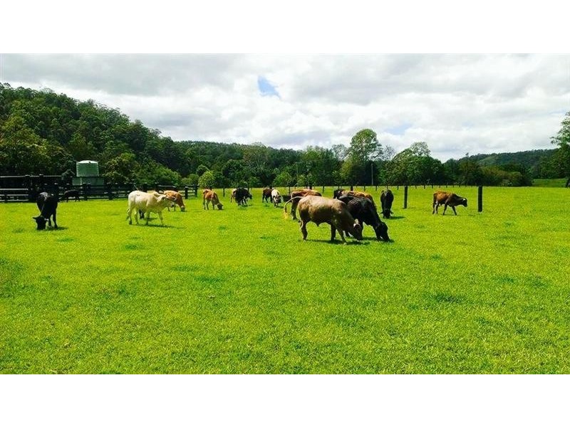 106  Cawongla Road, Rock Valley NSW 2480