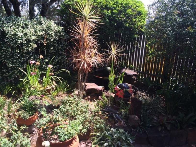 41 Hickey Street, Casino NSW 2470