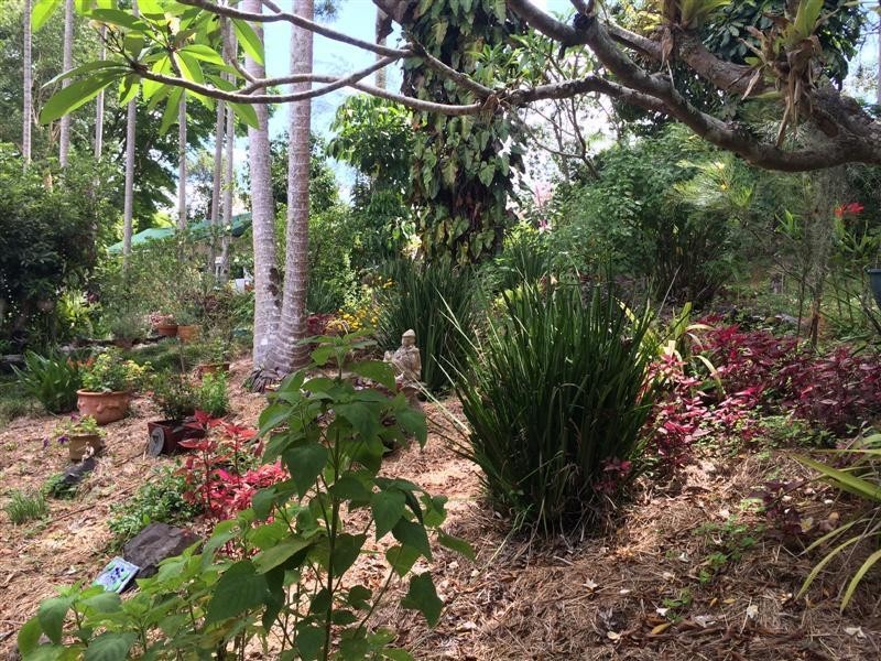 The Channon NSW 2480