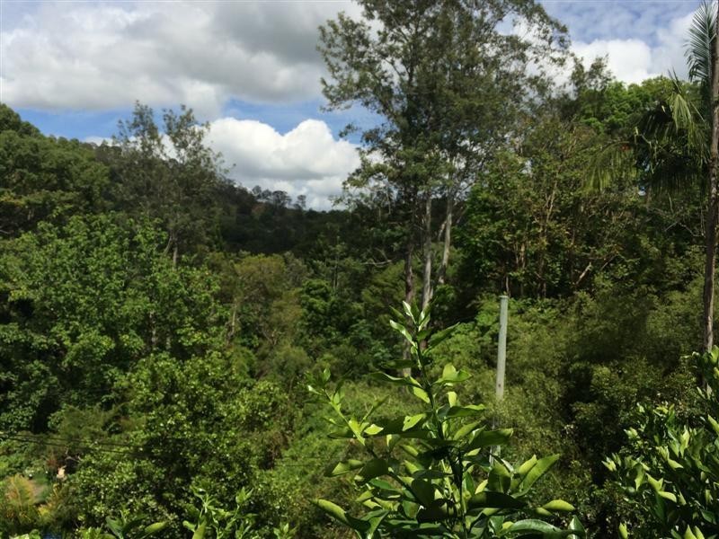 The Channon NSW 2480