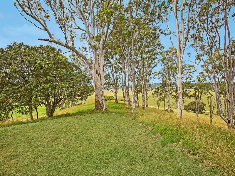 238 Caniaba Road, Caniaba NSW 2480