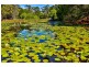 12 Napier Street, Goonellabah NSW 2480