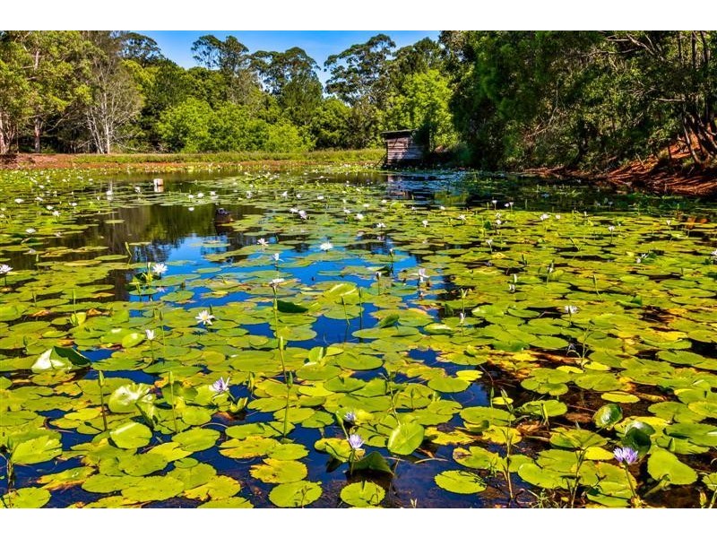 12 Napier Street, Goonellabah NSW 2480