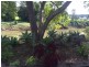 15 Frank Street, South Lismore NSW 2480