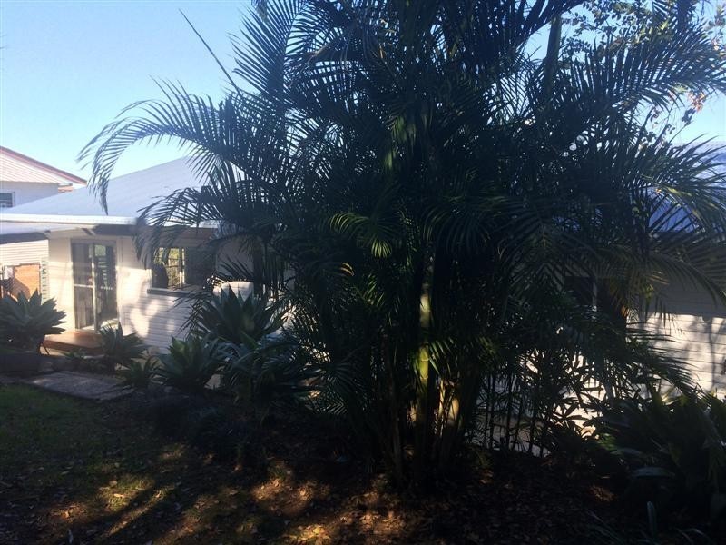 28 Kellas Street, Lismore Heights NSW 2480