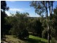 14 Garland Crescent, Lismore Heights NSW 2480