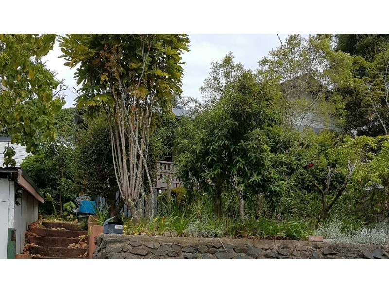 14 Virtue Street, Girards Hill NSW 2480