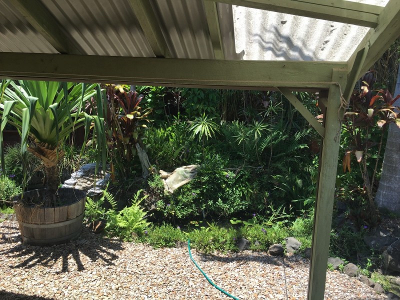 133 Brunswick Street, Lismore NSW 2480