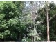 41 Campbell Crescent, Goonellabah NSW 2480
