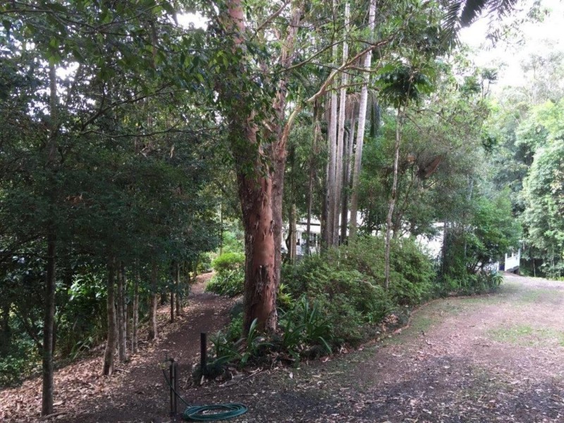 624 Tuntable Creek Road, The Channon NSW 2480