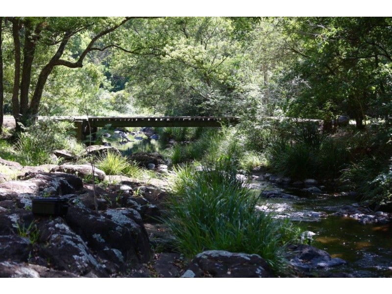 624 Tuntable Creek Road, The Channon NSW 2480