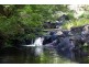624 Tuntable Creek Road, The Channon NSW 2480