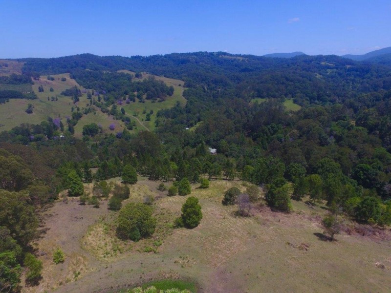 624 Tuntable Creek Road, The Channon NSW 2480