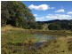 624 Tuntable Creek Road, The Channon NSW 2480