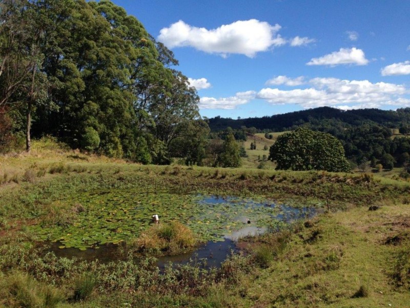 624 Tuntable Creek Road, The Channon NSW 2480