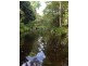 624 Tuntable Creek Road, The Channon NSW 2480