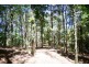 624 Tuntable Creek Road, The Channon NSW 2480