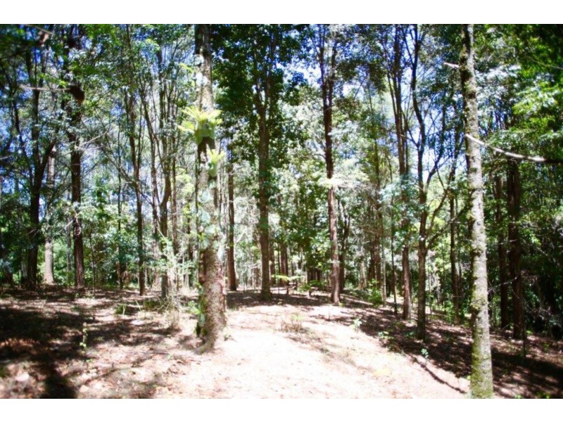 624 Tuntable Creek Road, The Channon NSW 2480